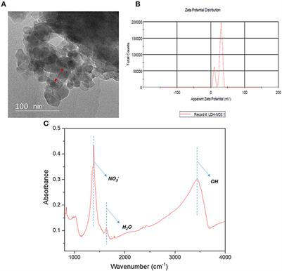 Development of Copper-Aluminum <mark class="highlighted">Layered Double Hydroxide</mark> in Thin Film Nanocomposite Nanofiltration Membrane for Water Purification Process